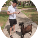 anh thành nam coment