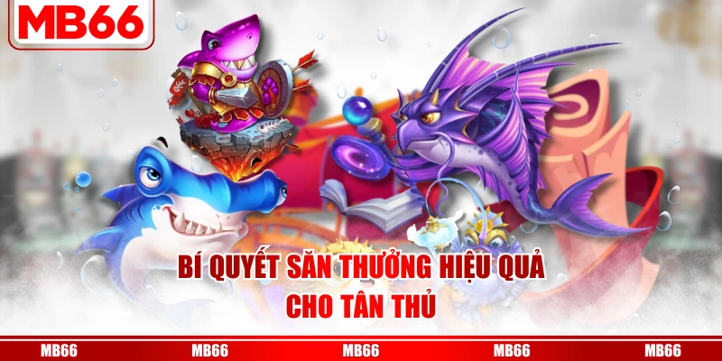 Bí quyết săn thưởng hiệu quả cho tân thủ