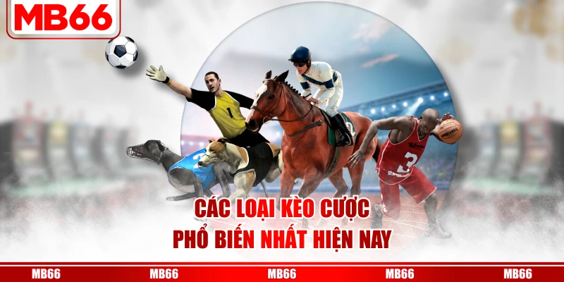 Các loại kèo cược phổ biến nhất hiện nay