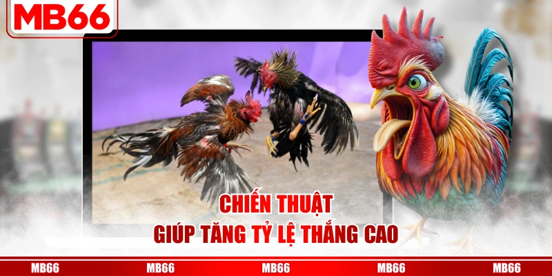 Chiến thuật giúp tăng tỷ lệ thắng cao