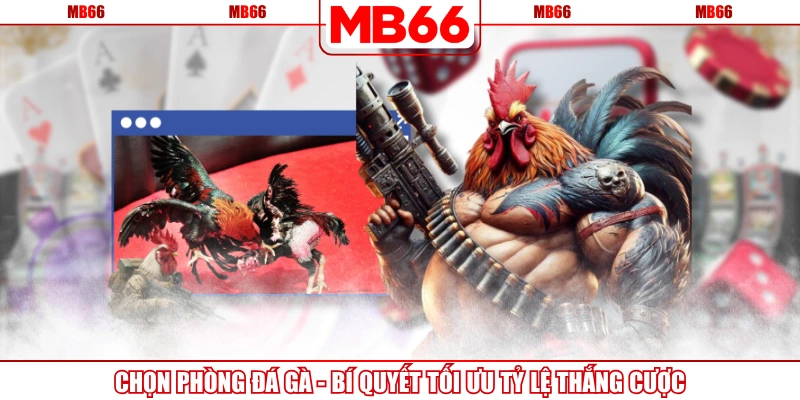 Chọn Phòng Đá Gà - Bí Quyết Tối Ưu Tỷ Lệ Thắng Cược