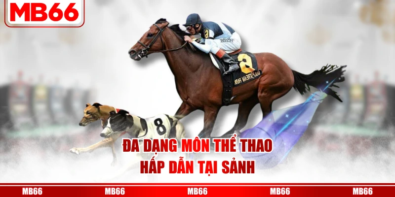 Đa dạng môn thể thao hấp dẫn tại sảnh