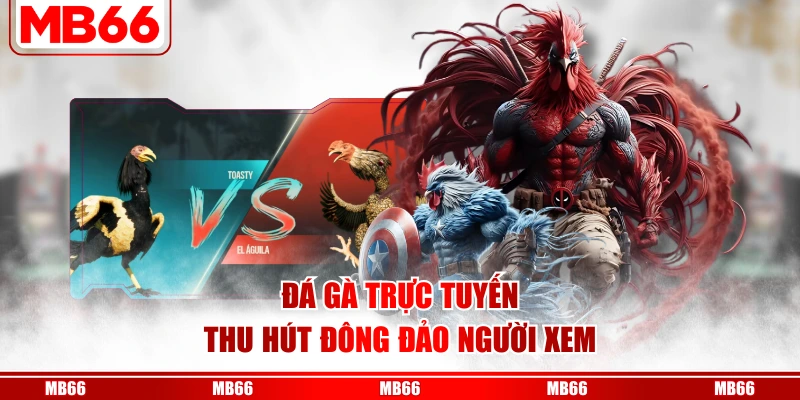 Đá gà trực tuyến hấp dẫn sôi động nhờ thu hút hàng ngàn người tham gia