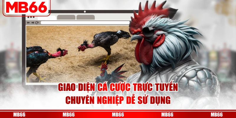 Giao diện cá cược trực tuyến chuyên nghiệp dễ sử dụng